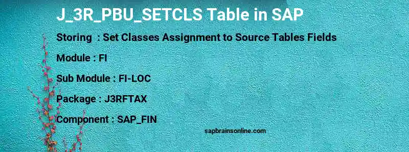 SAP J_3R_PBU_SETCLS table
