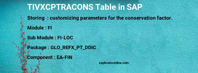 SAP TIVXCPTRACONS table
