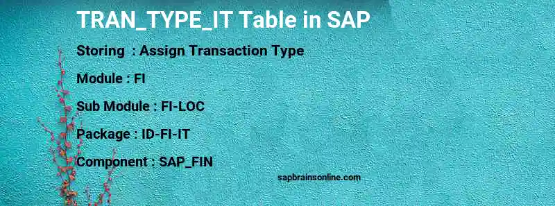 SAP TRAN_TYPE_IT table