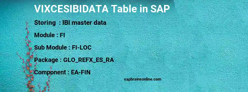 SAP VIXCESIBIDATA table