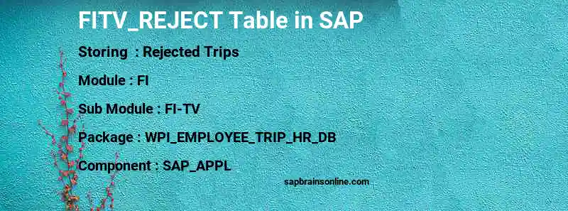 SAP FITV_REJECT table