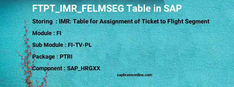 SAP FTPT_IMR_FELMSEG table