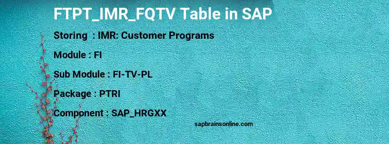 SAP FTPT_IMR_FQTV table
