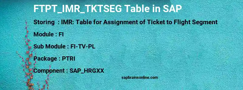 SAP FTPT_IMR_TKTSEG table