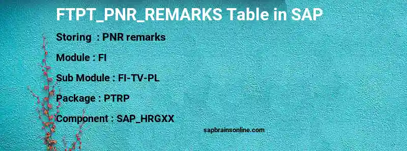 SAP FTPT_PNR_REMARKS table