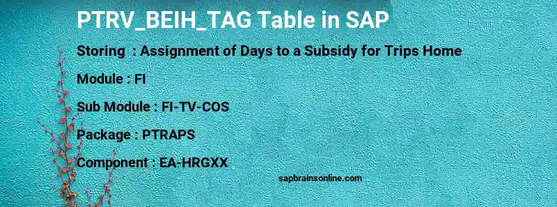 SAP PTRV_BEIH_TAG table