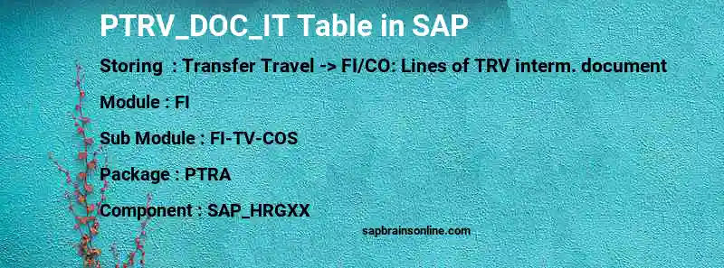 SAP PTRV_DOC_IT table