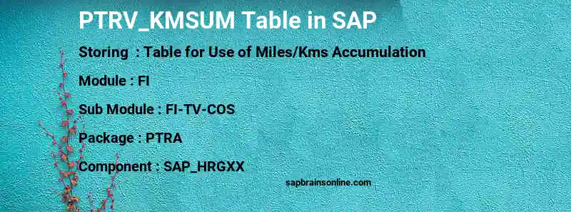 SAP PTRV_KMSUM table