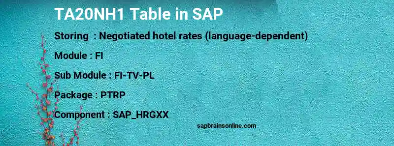 SAP TA20NH1 table