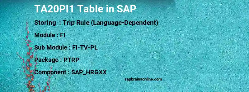 SAP TA20PI1 table