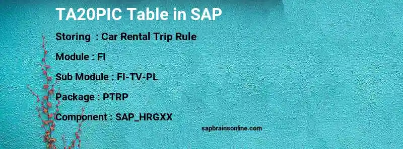 SAP TA20PIC table