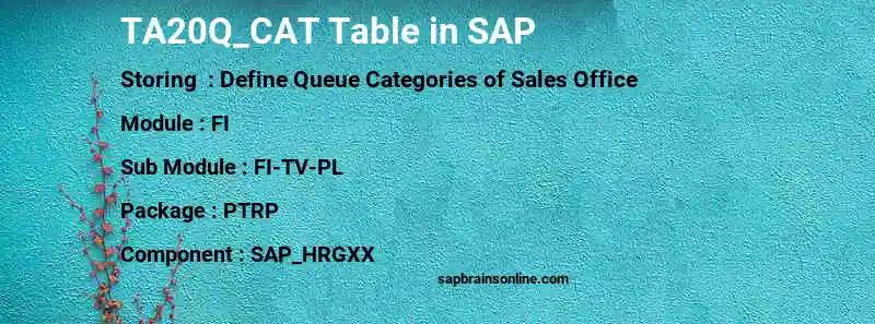 SAP TA20Q_CAT table