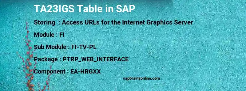 SAP TA23IGS table