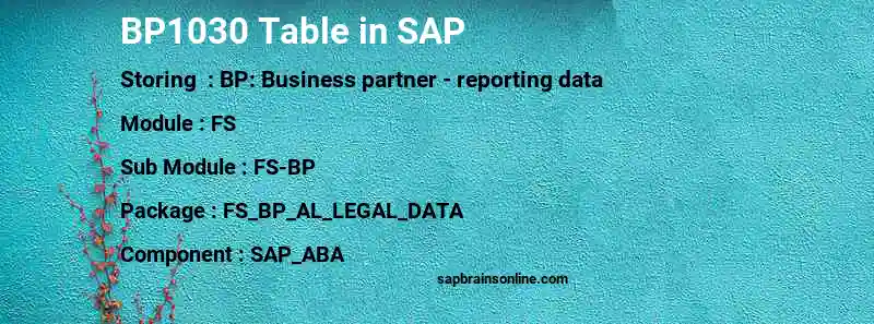 SAP BP1030 table
