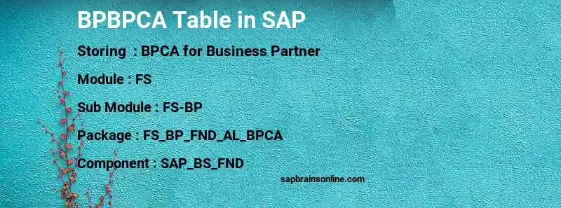 SAP BPBPCA table