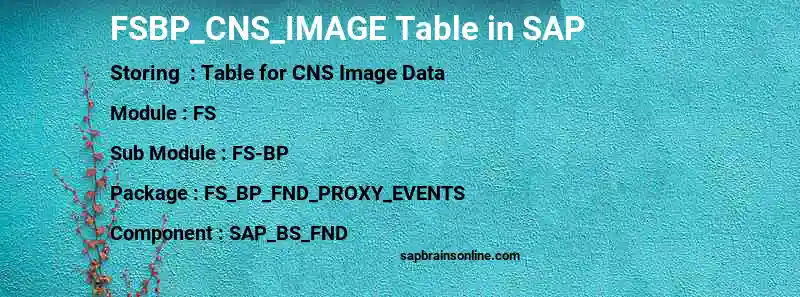 SAP FSBP_CNS_IMAGE table