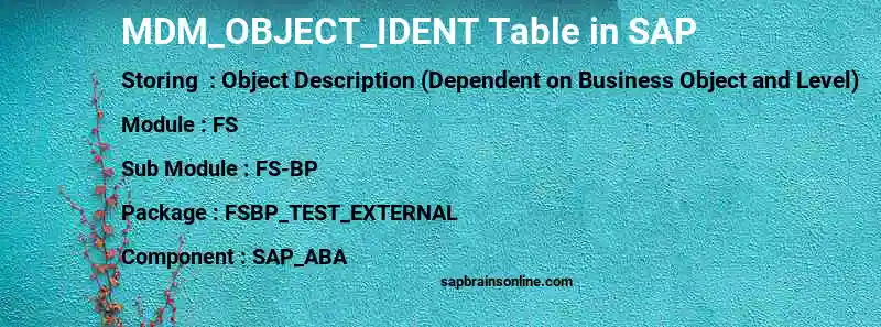 SAP MDM_OBJECT_IDENT table
