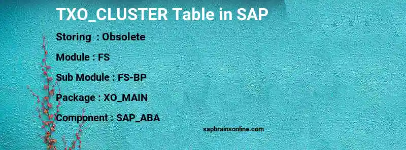 SAP TXO_CLUSTER table