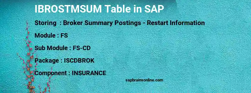 SAP IBROSTMSUM table