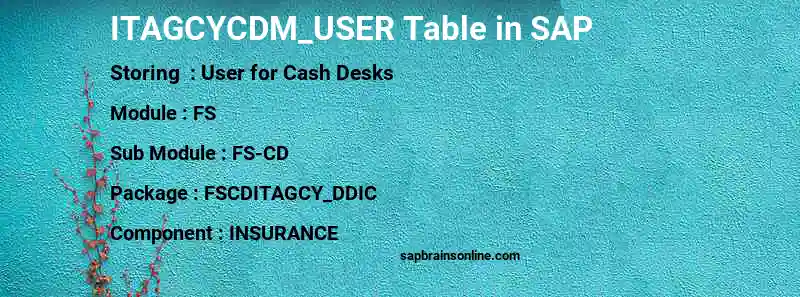 SAP ITAGCYCDM_USER table