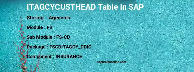 SAP ITAGCYCUSTHEAD table