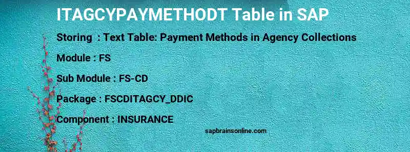 SAP ITAGCYPAYMETHODT table