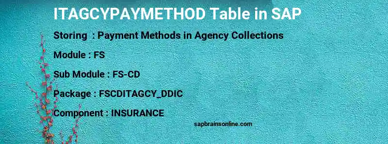 SAP ITAGCYPAYMETHOD table