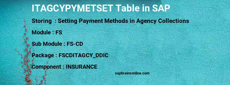 SAP ITAGCYPYMETSET table