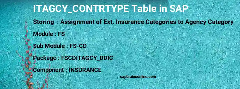 SAP ITAGCY_CONTRTYPE table