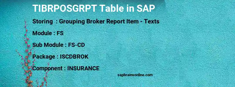 SAP TIBRPOSGRPT table