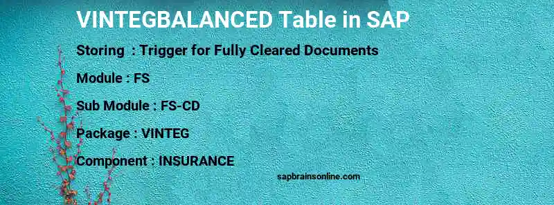 SAP VINTEGBALANCED table