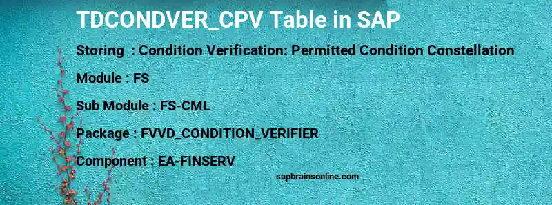 SAP TDCONDVER_CPV table