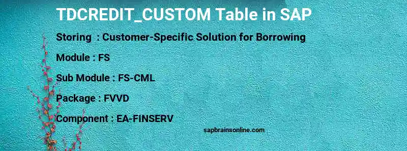 SAP TDCREDIT_CUSTOM table