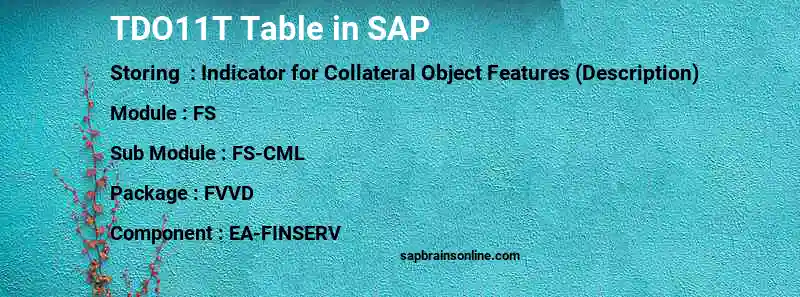 SAP TDO11T table