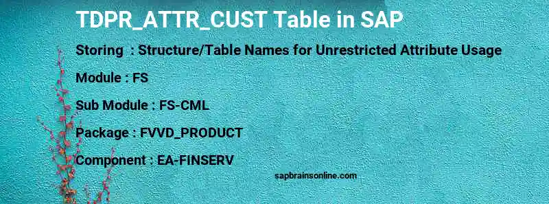 SAP TDPR_ATTR_CUST table