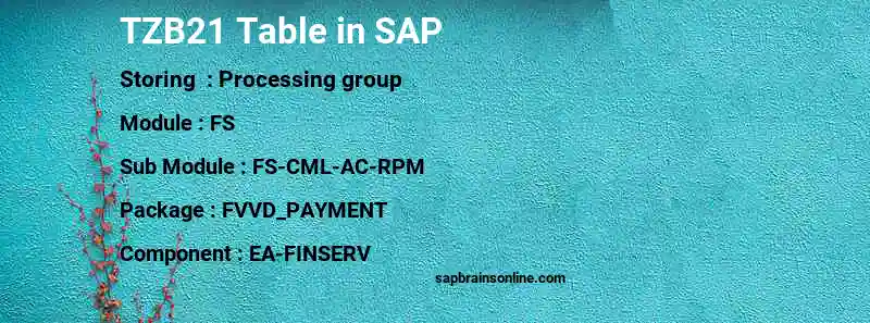 SAP TZB21 table