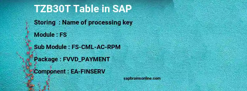 SAP TZB30T table