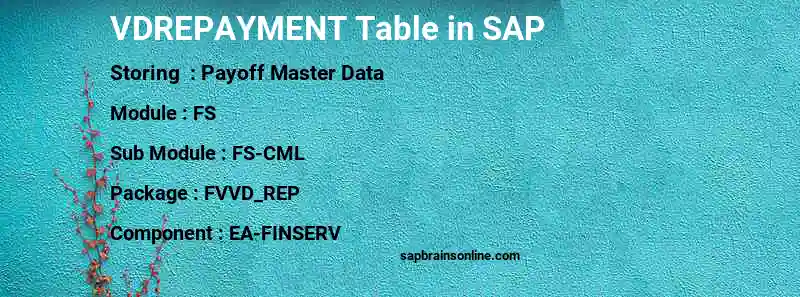 SAP VDREPAYMENT table