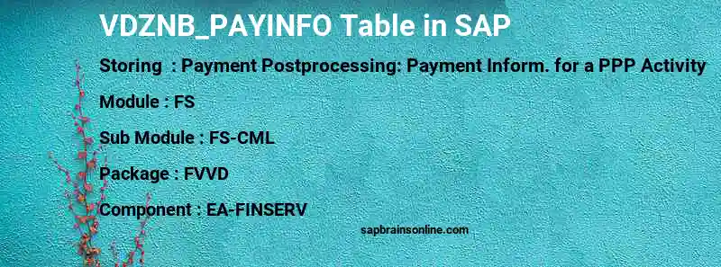 SAP VDZNB_PAYINFO table