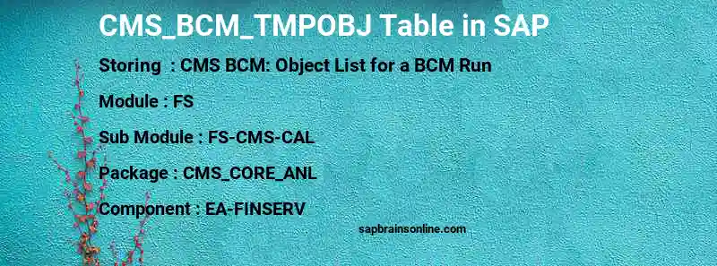 SAP CMS_BCM_TMPOBJ table