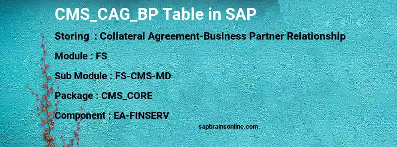 SAP CMS_CAG_BP table
