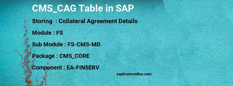 SAP CMS_CAG table