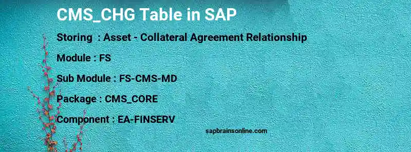 SAP CMS_CHG table