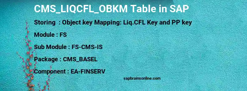 SAP CMS_LIQCFL_OBKM table