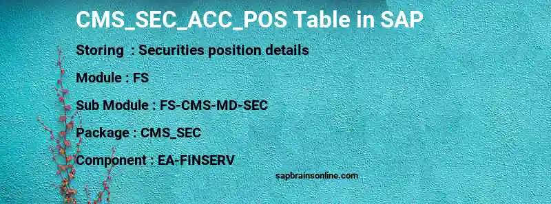 SAP CMS_SEC_ACC_POS table