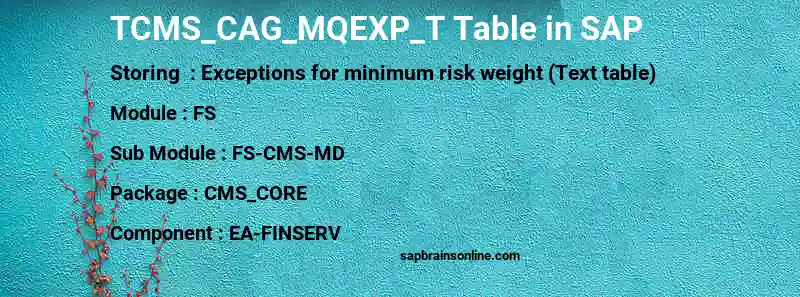 SAP TCMS_CAG_MQEXP_T table