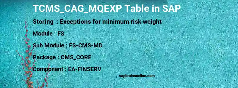 SAP TCMS_CAG_MQEXP table