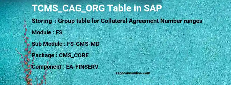 SAP TCMS_CAG_ORG table
