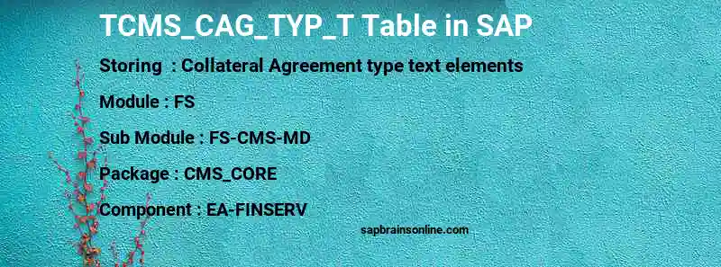 SAP TCMS_CAG_TYP_T table