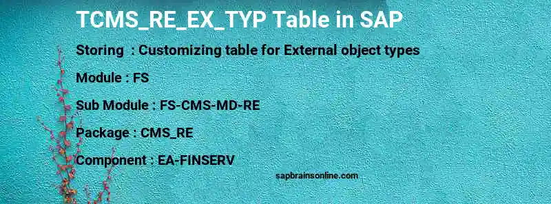 SAP TCMS_RE_EX_TYP table